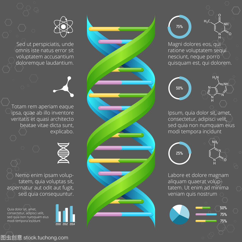 醫(yī)學(xué)和生物學(xué)研究 Dna 結(jié)構(gòu)的圖表模板