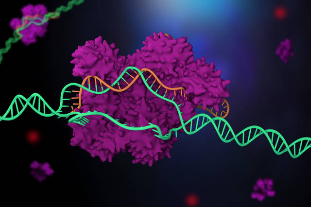 生物技術育種的個人展示頁