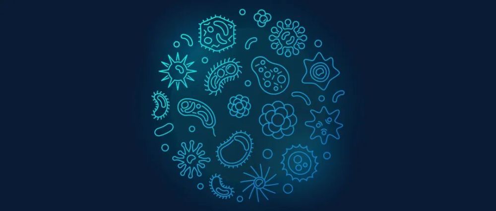 【Nature子刊】通過(guò)微生物組組成更準(zhǔn)確地識(shí)別結(jié)直腸癌