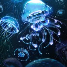 黑暗中熠熠發光的海洋舞者——水母